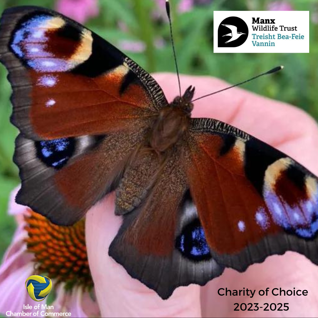 CHAMBER CHARITY OF CHOICE SEPTEMBER UPDATE